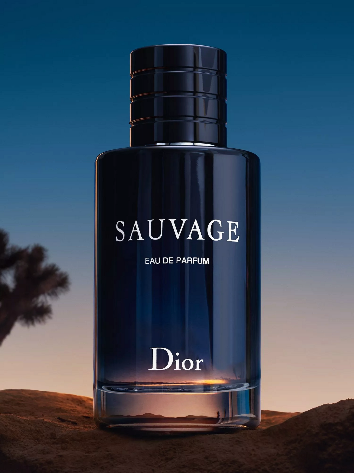 Dior Sauvage Eau De Parfum