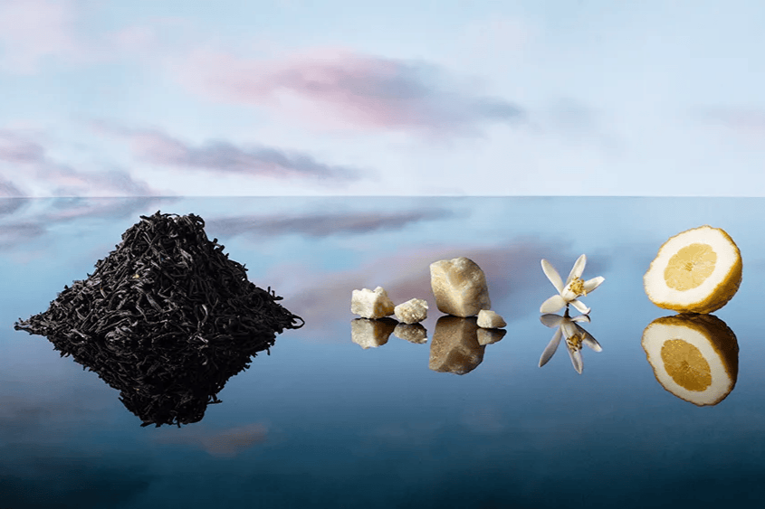 Louis Vuitton Imagination